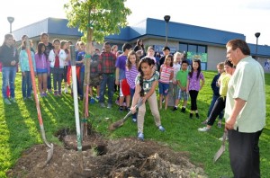 Students took shovels to help plant a new tree at Quail Summit Elementary School. (Photo courtesy of Walnut Valley Unified)