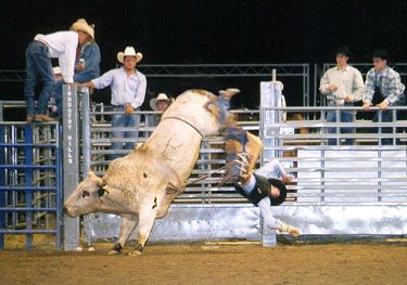 16734-rodeo4.jpg