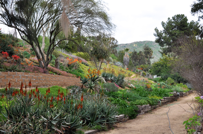 27224-UCRGarden-thumb-400x265.png