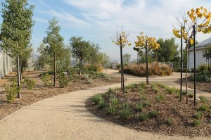 Drought resistant garden graces roof of recycled water reservoir in Walnut Valley Water District