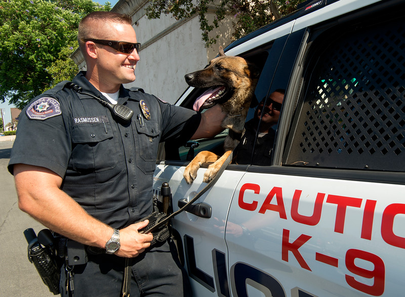 "Covina Police Officer Ryan Ryan Rasmussen with his new K-9 partner, Yarno, at Covina City Hall on Thursday July 23, 2015. It has been more than 10 years without a police K-9 servicing Covina. (Photo by Keith Durflinger/San Gabriel Valley Tribune)"