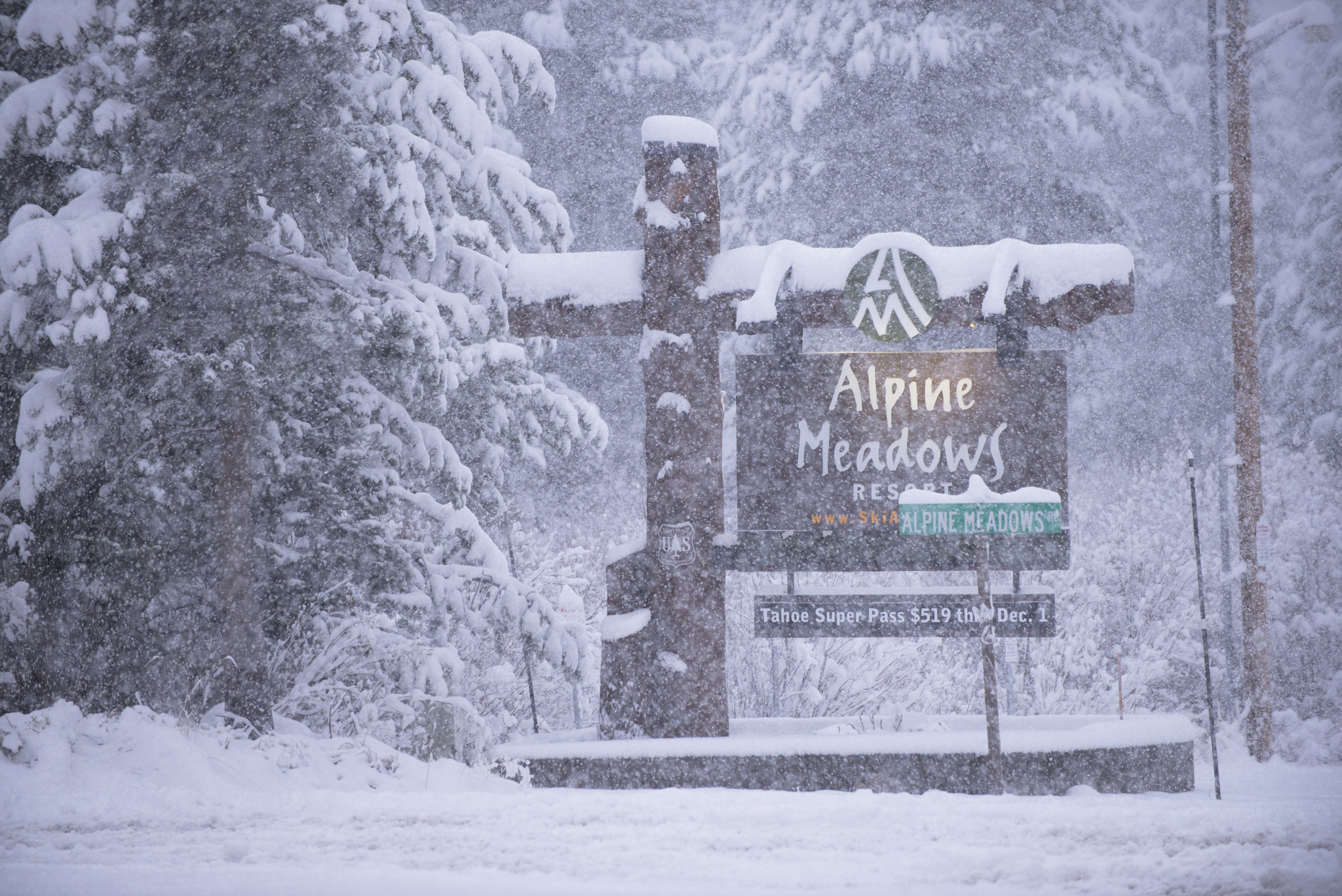 At Alpine Meadows, the white stuff was piling up this morning. (Alpine Meadows photo)