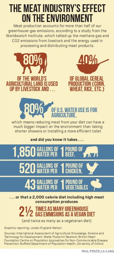 Meat industry's effect on environment Jordan England-Nelson